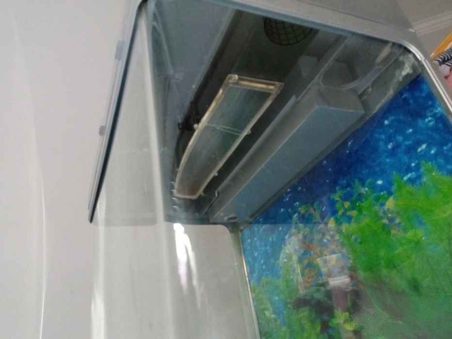 Aquário Alt. 45cm Lag. 50cm Prof. 30cm