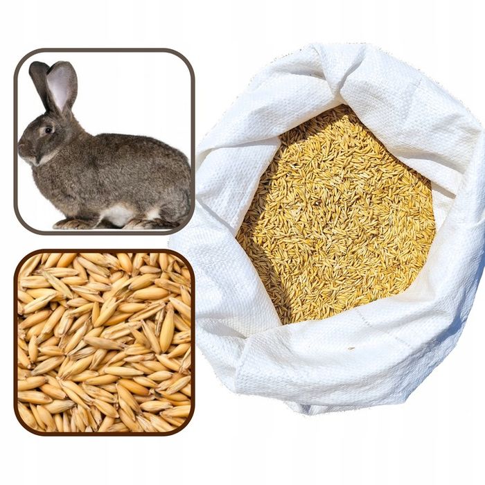 owies ziarna pasza karma dla królików koni 20kg