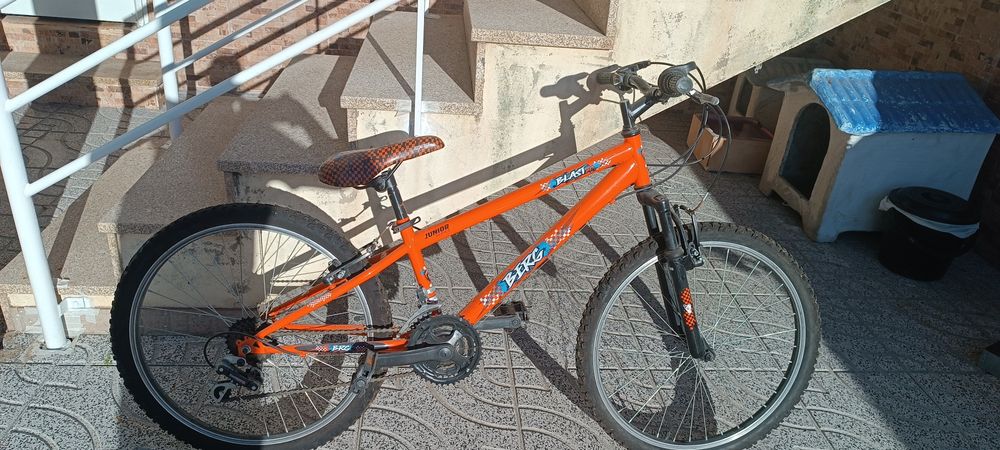 Bicicleta junior montanha marca berg (blast)