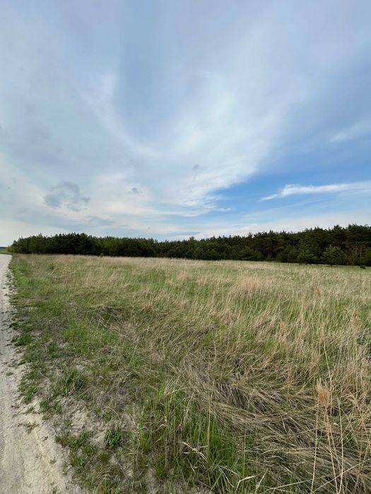 Działka nad zbiornikiem wodnym Przykona - Widok 3