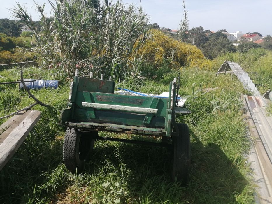 Carroça. Puxada por animais.