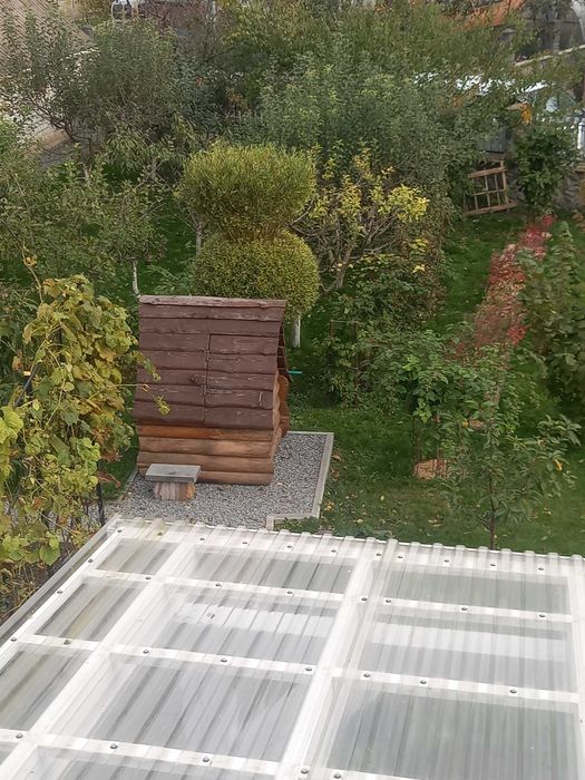 Здається житло подобово. Корець.