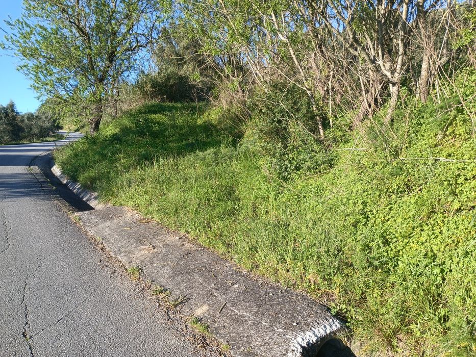 Quintinha , lote de terreno ,  monte , fazenda