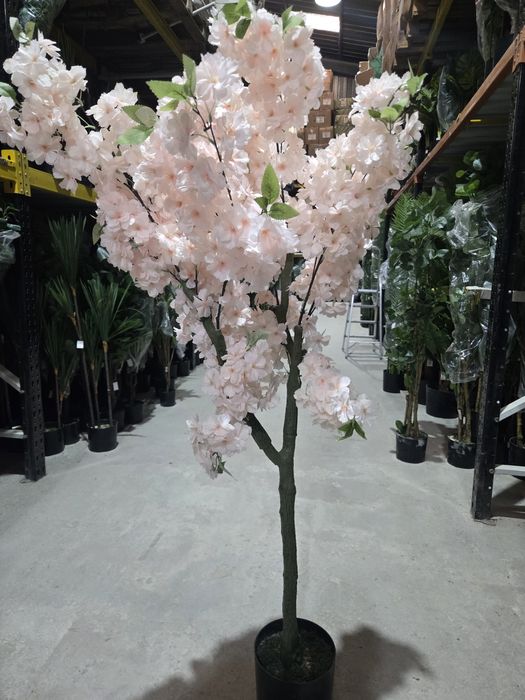 Flores cerejeiras rosinhas lindissimas para entregas