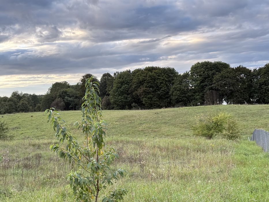 Działka budowlana nad jeziorem Marąg, Mazury - 2311m2, Ramoty