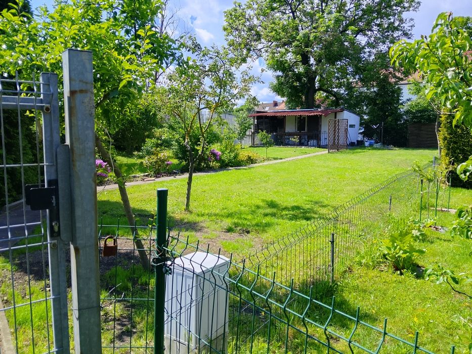 Ogródek działkowy ROD ODRA