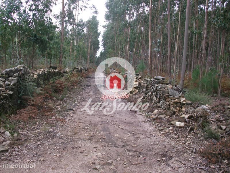 Terreno rustico com 17.000 m2 em Fornelo - Vila do Conde — Fornelo E Vairão, Porto