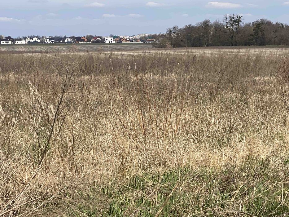 Продам земельну ділянку в Шкарівці