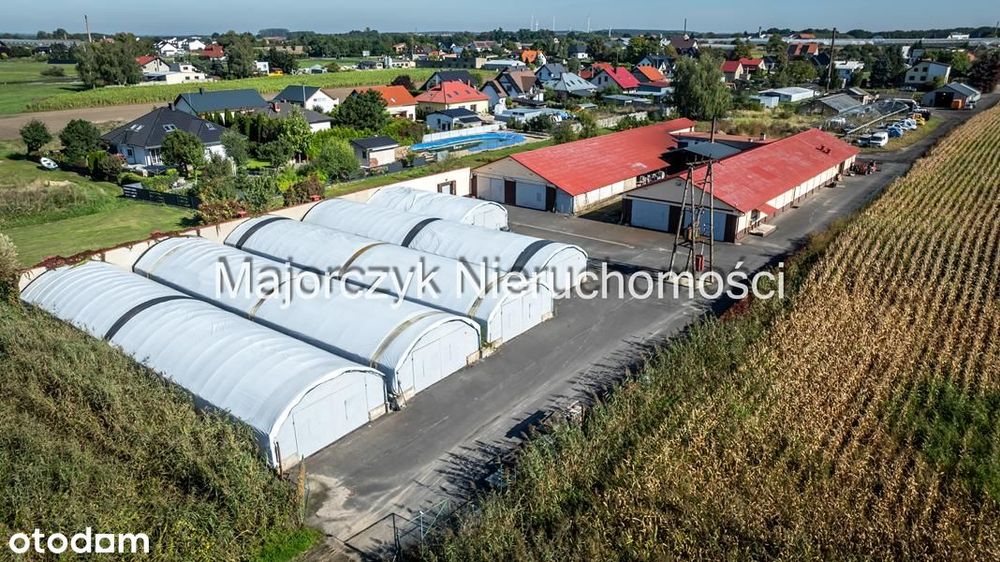Duża nieruchomość inwestycyjna - Włoszakowice - Widok 4