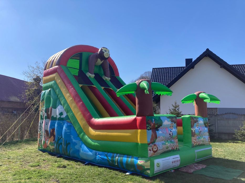 Dmuchaniec Zamek Dmuchany Animacje Piana party Wata cukrowa