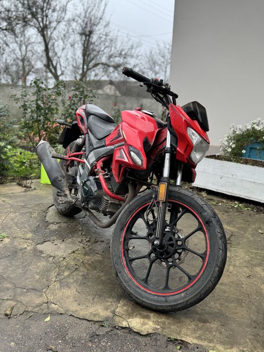 MotoLeader ML200 Shark