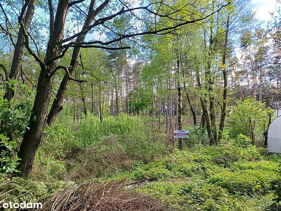 Otulona zielenią