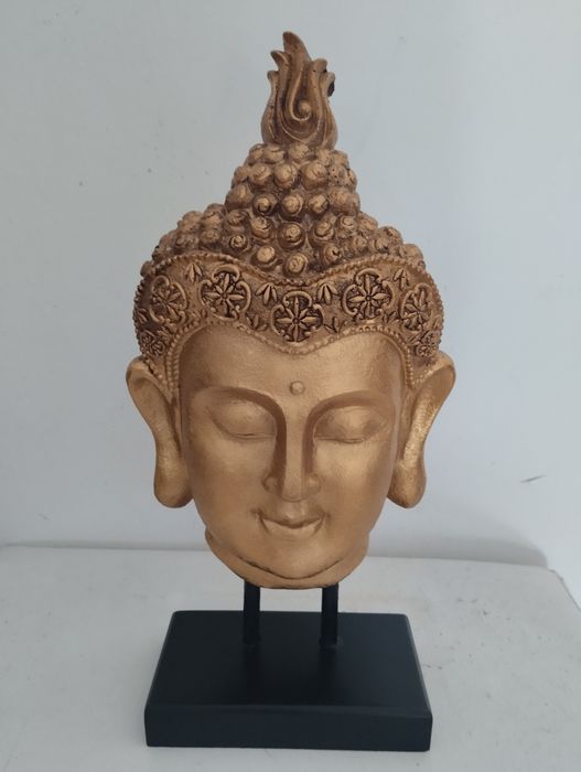Cara de buda novo