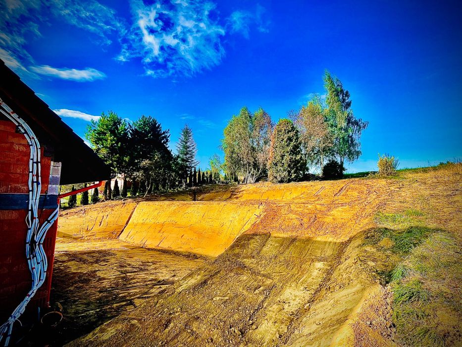 Koparka , minikoparka , transport , wozidlo , rooty ziemne