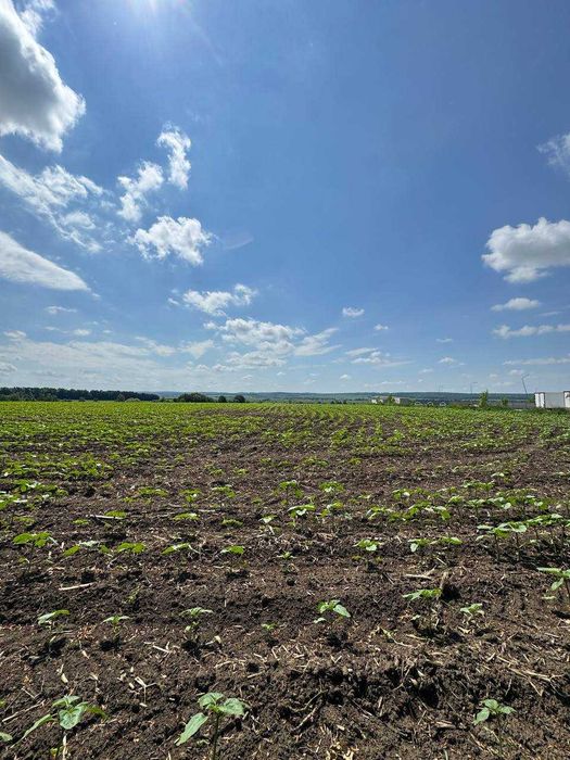 Продаж Фасадної ділянки 2га;