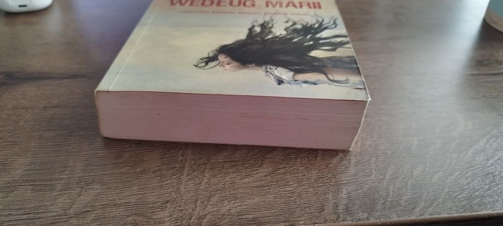 Patrick Graham Apokalipsa według Marii