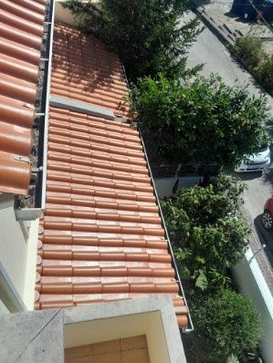 Alves Pintor / preços em conta