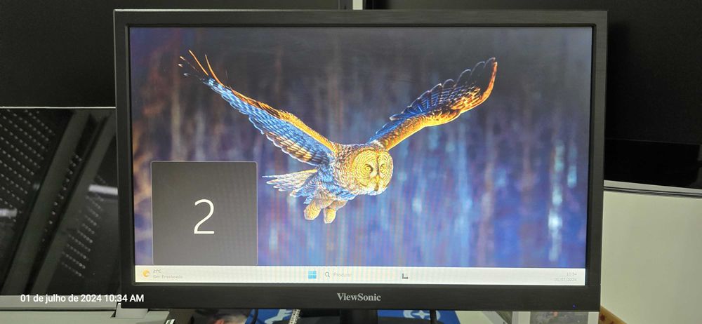 2 monitores Viewsonic VA1903a Completamente funcionais