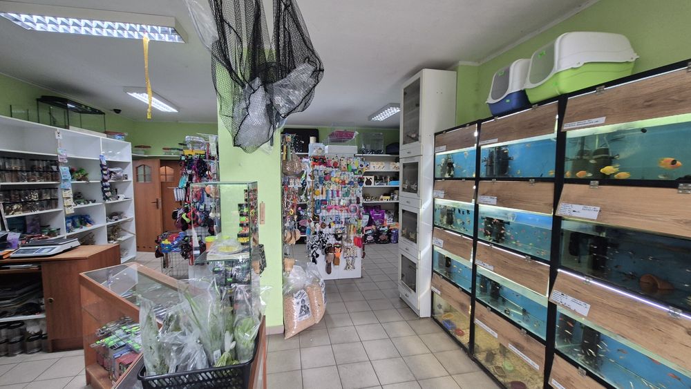 Sprzedam firmę. Sklep zoologiczno- wędkarski.  Wałcz