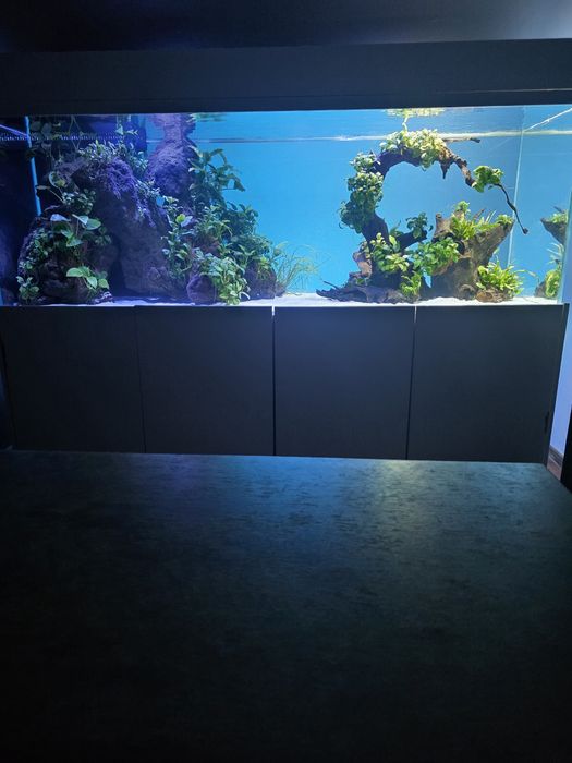 Kompletne Akwarium 1000l