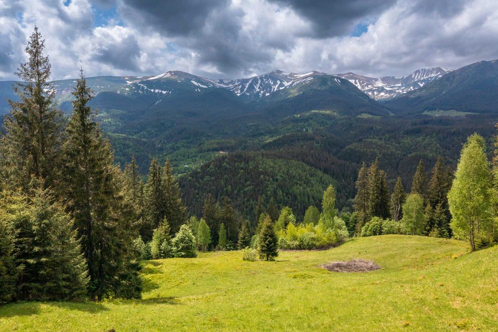 Земельна ділянка в с. Бистрець 196 соток