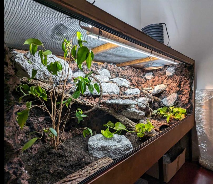 Terrarium para uma cobra