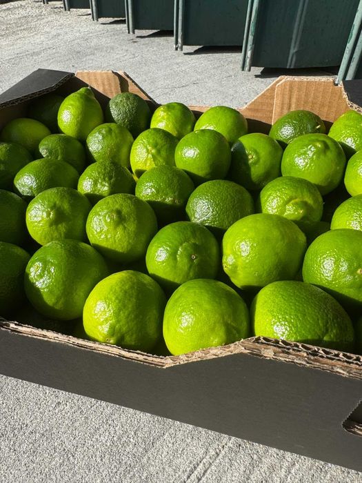 Limas (Fruta) kg