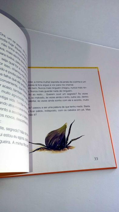 O Segredo - Álvaro Magalhães