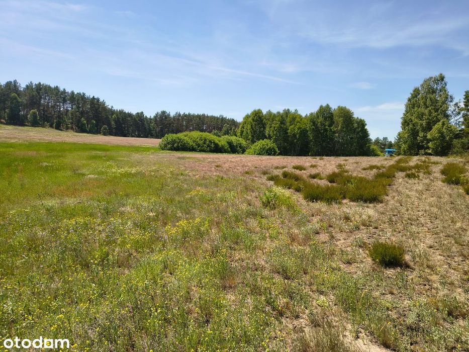 Działka budowlana około 1000m² blisko jeziora - Widok 4