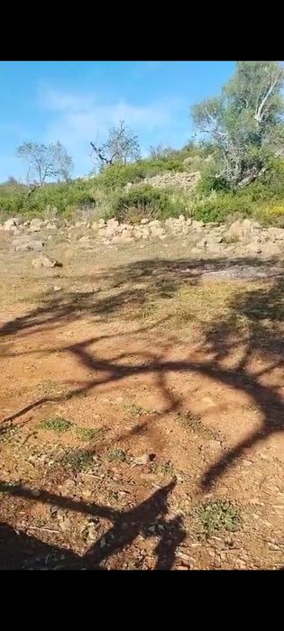 Terreno Agrícola
