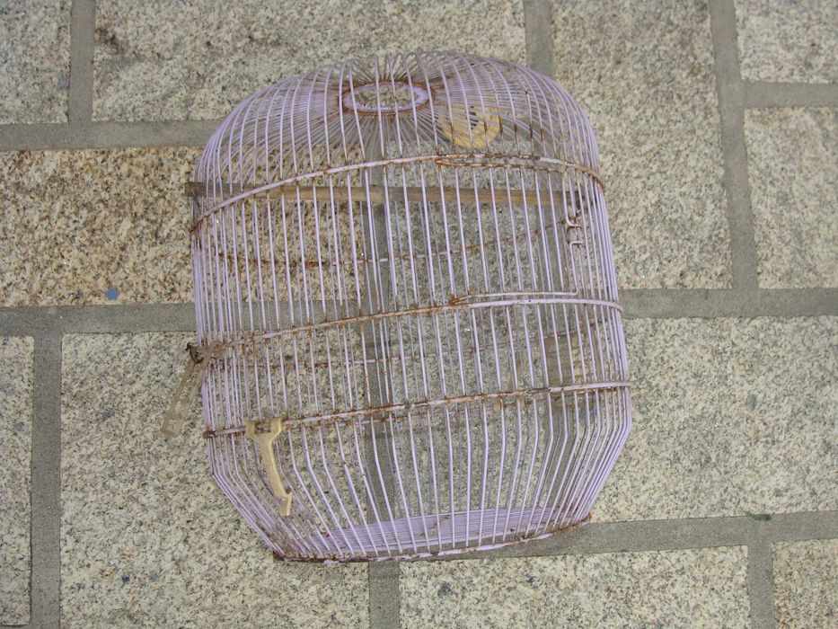 Gaiola Redonda Lilás para Restauro