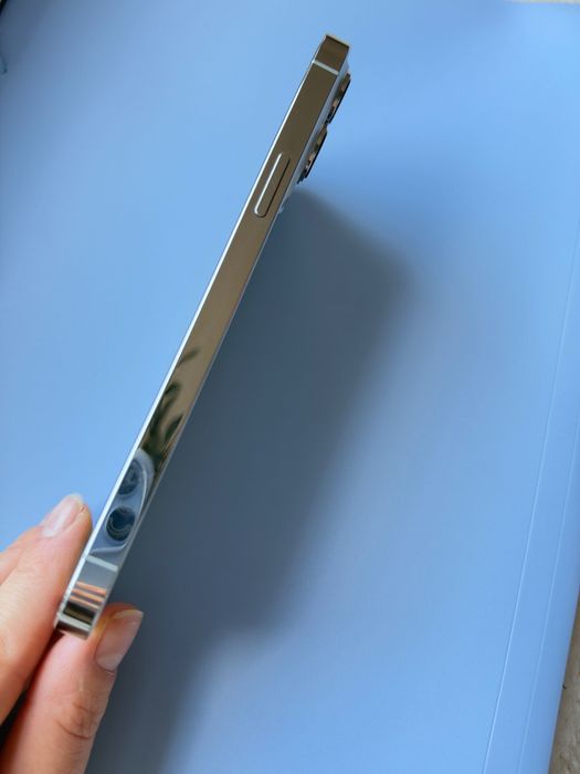 iPhone 13 Pro Max Srebrny