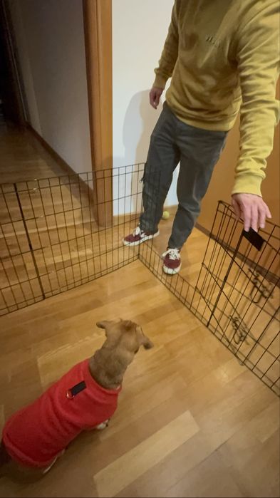 Outech Jaula Dobrável Preta para cães