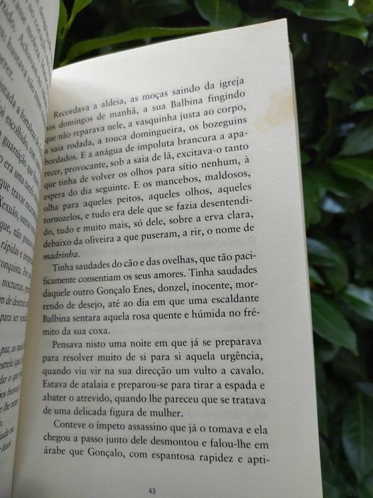 A Estrela de Gonçalo Enes (Rosa Lobato de Faria)
