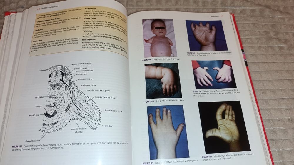 Clinical Anatomy by regions adition 9 RichardS. Snell, MD, PhD