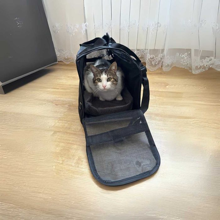 TORBA Transporter dla Kota Psa z MATĄ Pluszową do TRANSPORTU Zwierząt