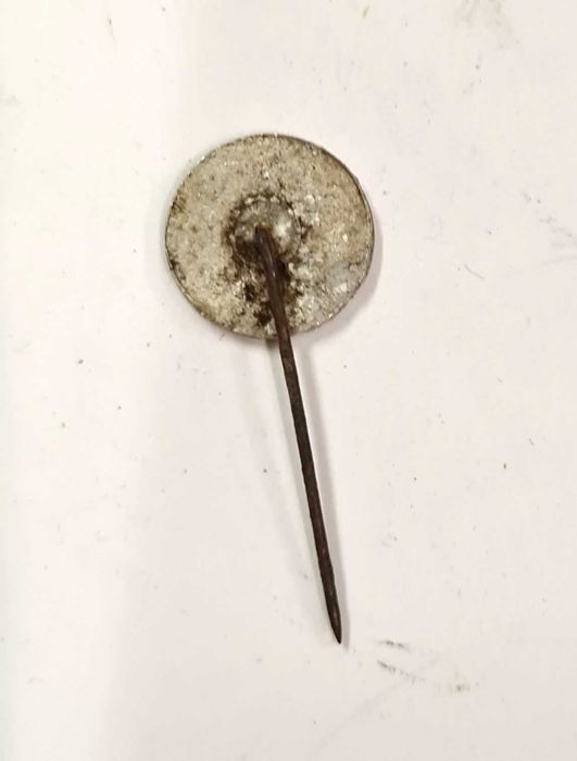 Odznaka patriotyczna Szczecin orzeł pamiątka znaczek przypinka szpilka