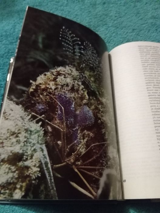 Дайвинг .Manfred Taege и Joahim Wagner. Океан. Кораловьіе ри