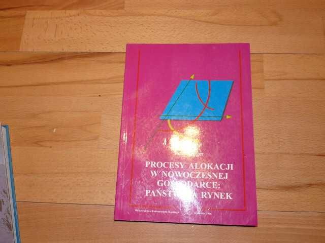 Procesy alokacji w nowoczesnej gospodarce, 1996 NOWA Stan Magazow 5 zł