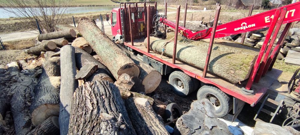 Wycinka, Pielęgnacja Drzew, rebak, frezarka