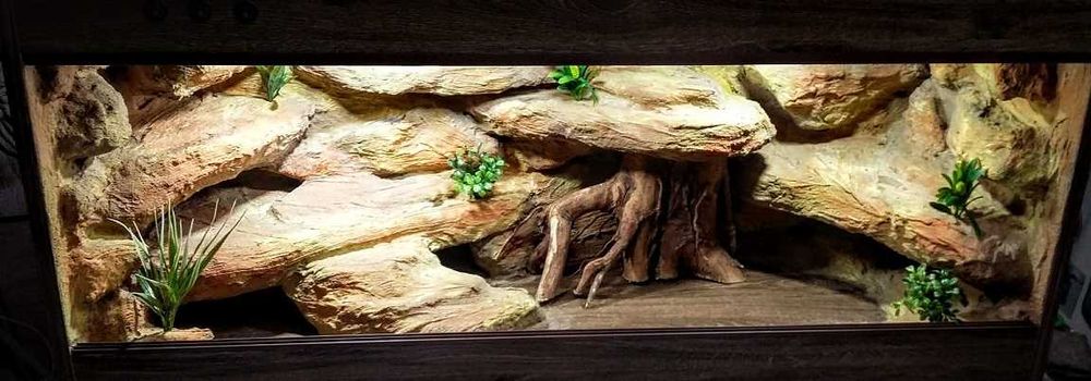 Terrarium na zamówienie dla agamy 100x40x40