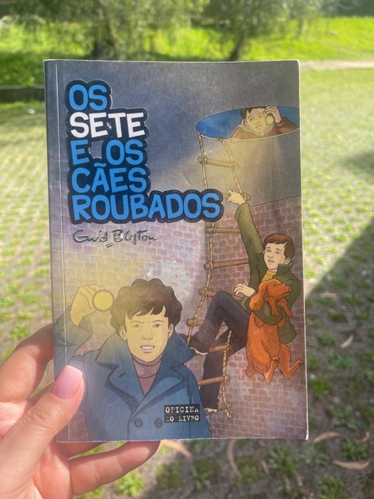 Os sete e os cães roubados