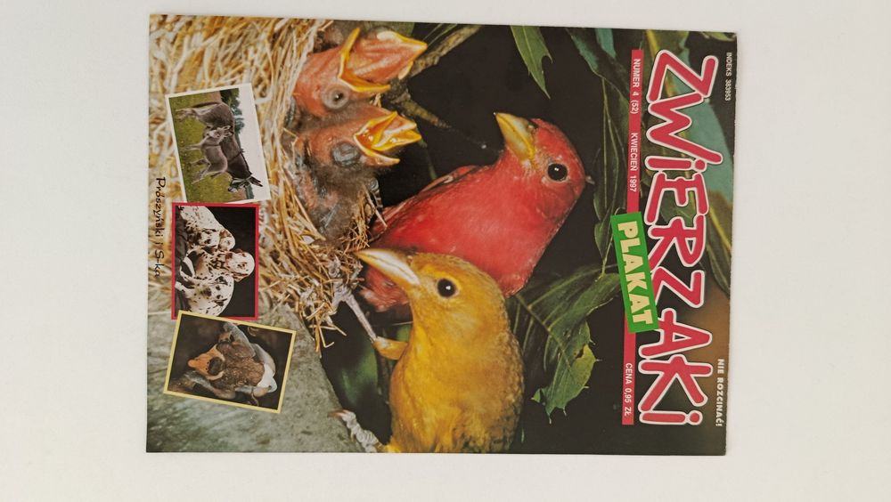 Na ścianę zwierzaki 55 x 41 cm plan lekcji papierowe