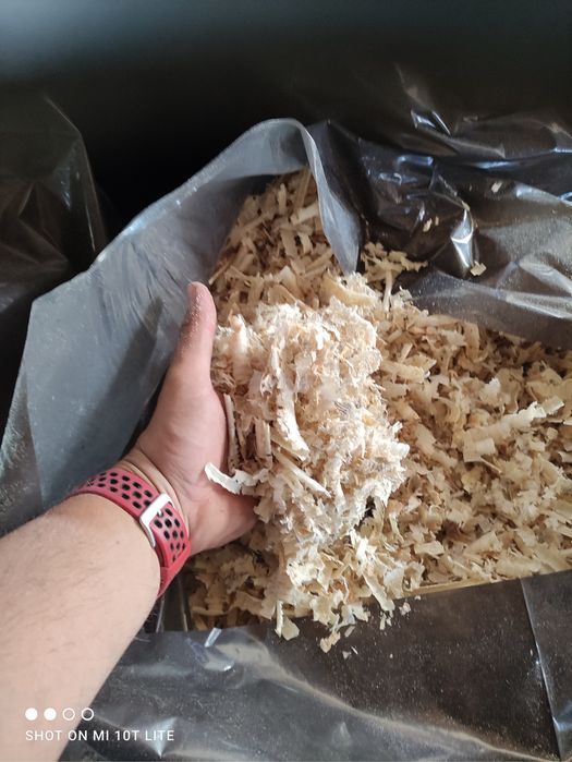 Trociny wiory na sciółke