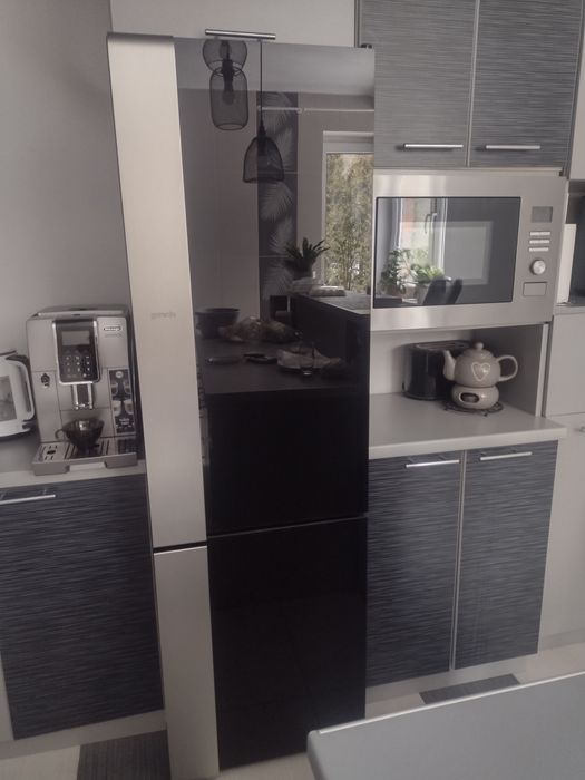 lodówko-zamrażalka Gorenje ora-ito