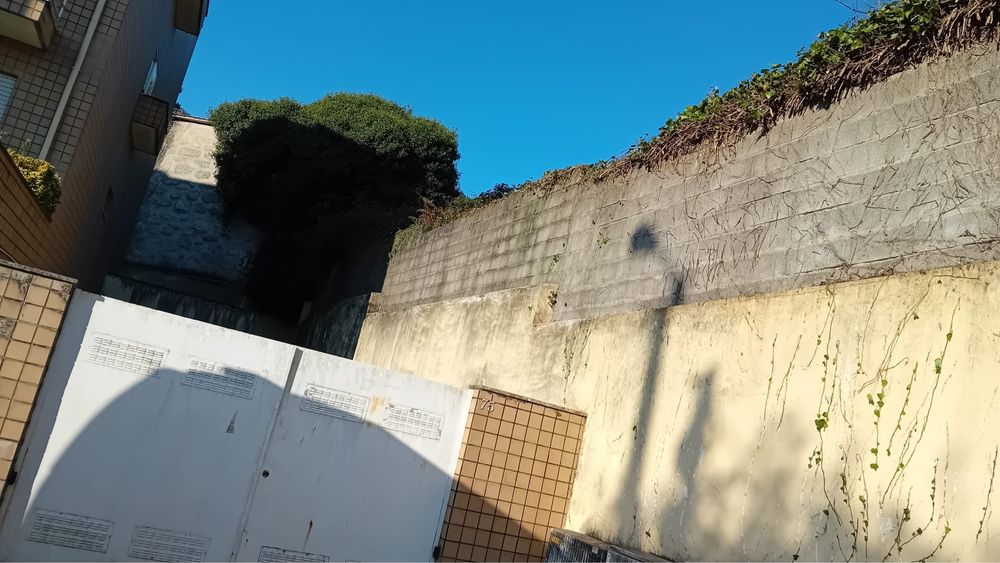 Limpeza de jardim