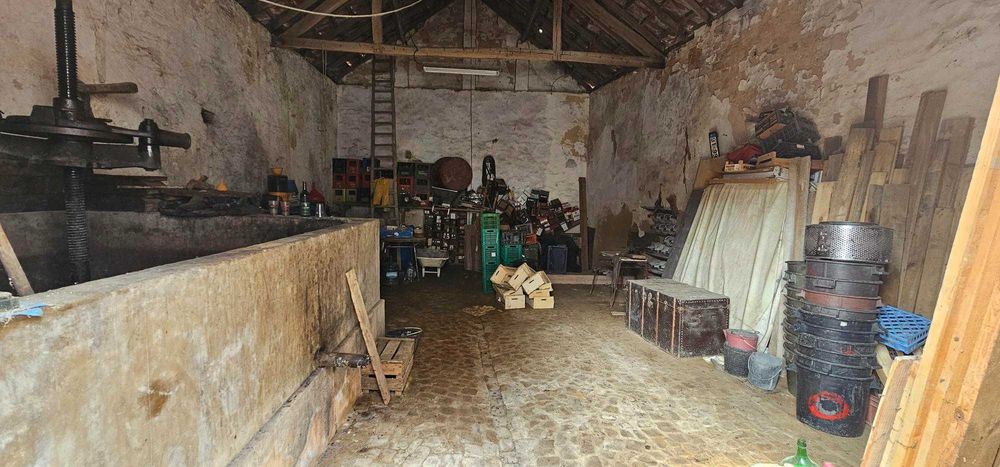 Adega em Sobral de Montagrasso