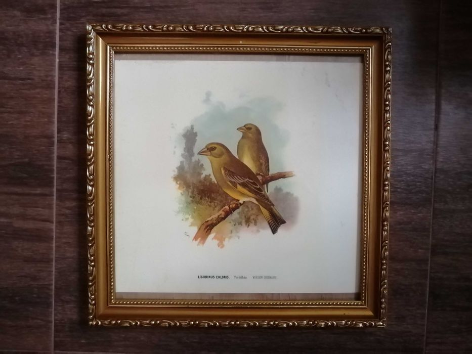 Quadro antigo moldura e vidro Candeeiro de teto