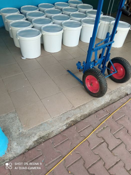 Miód przszczeli rzepakowy