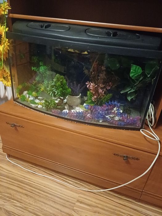 Akwarium na rybki 120l